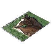 Warmblood Fohlen-Niederlegung Notizblock (Linke Seite)