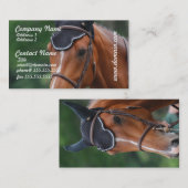 Warmblood PferdeVisitenkarte Visitenkarte (Vorne/Hinten)