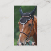 Warmblood PferdeVisitenkarte Visitenkarte (Rückseite)