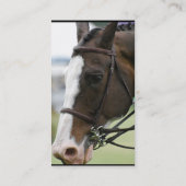 Warmblood PferdeVisitenkarte Visitenkarte (Rückseite)