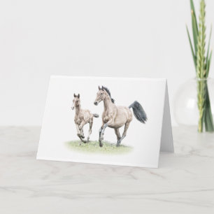 Warmblood Stuten-u. Karte