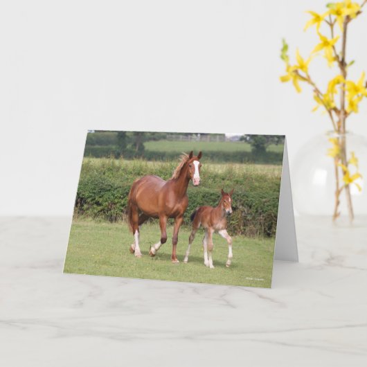 Warmblut Mare and Foal Walking Together Karte (Gelbe Blume)