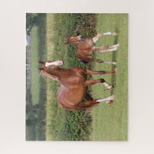 Warmblut Mare and Foal Walking Together Puzzle (Vertikal)