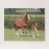Warmblut Mare and Foal Walking Together Puzzle (Horizontal)