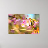 Warme Farben der Sakura-Blume in der Hanamasaison Leinwanddruck (Vorderseite)