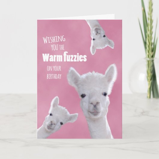 Warme Fuzzies am Geburtstag mit Niedlichen Llamas Karte (Vorderseite)