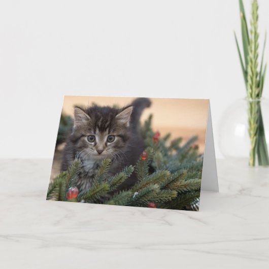 Warme Katze Weihnachtskarte Feiertagskarte (Vorderseite)
