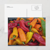 Warme Paprikaschoten Postkarte (Vorne/Hinten)