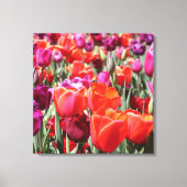 Warme Tulips Leinwanddruck (Vorderseite)