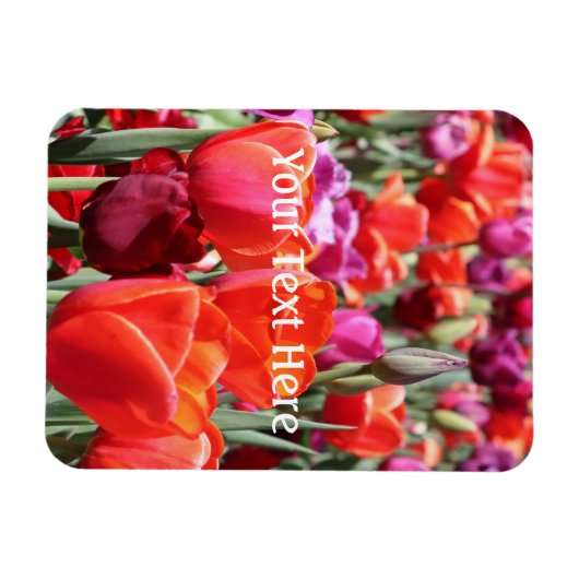 Warme Tulips Magnet (Horizontal)