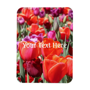 Warme Tulips Magnet
