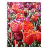 Warme Tulips Notizblock (Vorderseite)