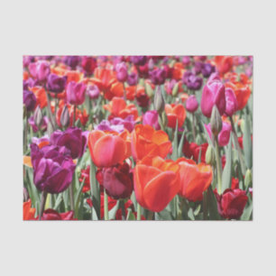 Warme Tulips Seidenpapier