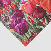 Warme Tulips Seidenpapier (Ausschnitt)