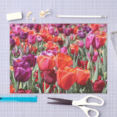 Warme Tulips Seidenpapier (Handwerk)