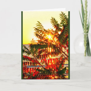 Warme Weihnachten wünscht dir den Weg!