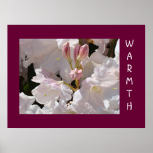 WÄRME Weiße Rhodies Blumen Kunst Drucke Heilung
