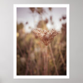 Warme Wildblume neatral Herbst Kunst Poster (Vorne)