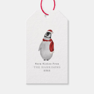 Warme Wünsche Baby Penguin Santa Geschenkanhänger