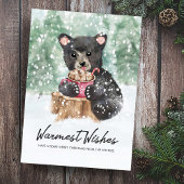 Warme Wünsche Bären Cube Kakao Weihnachten