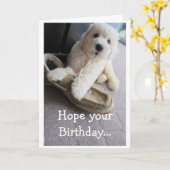 Warmer Fuzzy Geburtstag, Niedlicher Goldendoodle-S Karte (Gelbe Blume)