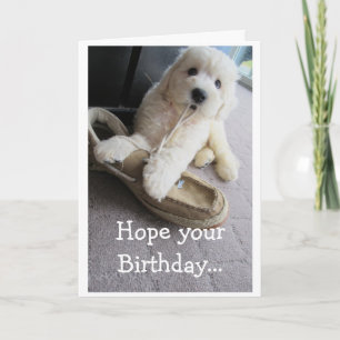 Warmer Fuzzy Geburtstag, Niedlicher Goldendoodle-S Karte