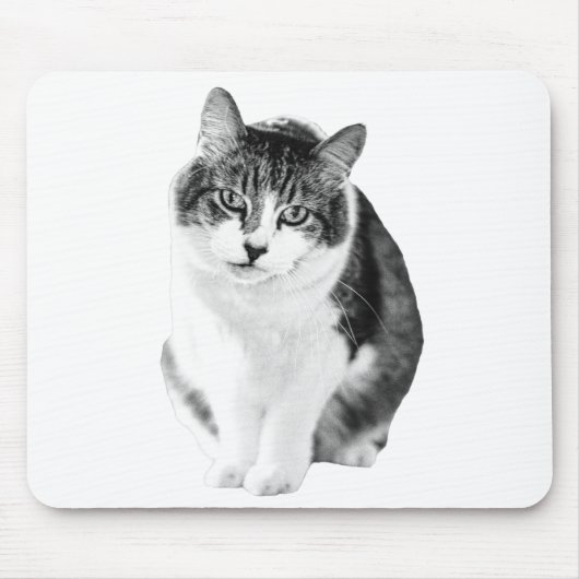 Warmer ruhiger Fokus Mousepad (Vorne)