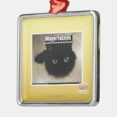 Warmes Fuzzies Silbernes Ornament (Links)