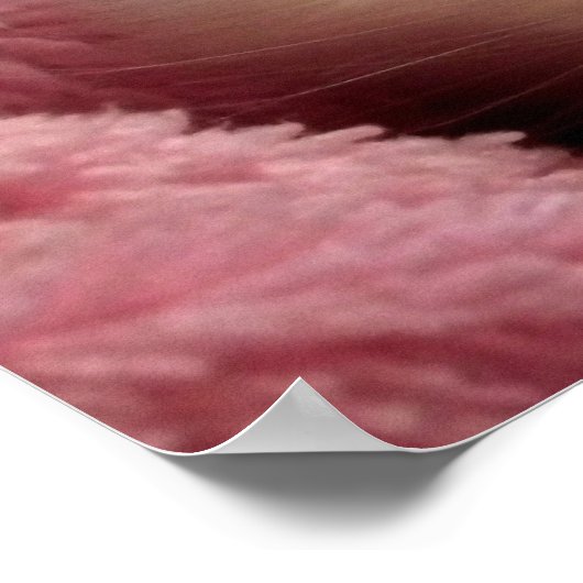 Warmes Kätzchen in der Decke Poster (Ecke)