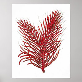 Warmes Rotes Meer Korallenriff nr.8 Strandwall Art Poster