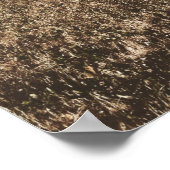 Warmes Sonnenfeld in Santa Barbara Kalifornien Poster (Ecke)