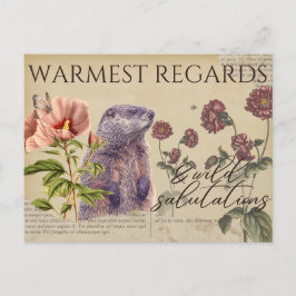 Warmest Regards Woodchuck Vintage Postkarten