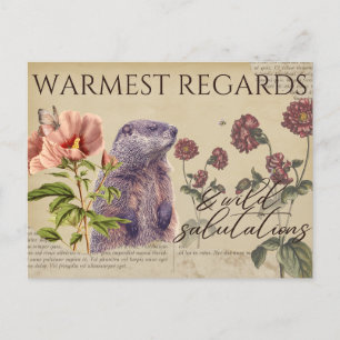 Warmest Regards Woodchuck Vintage Postkarten