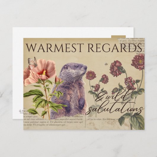 Warmest Regards Woodchuck Vintage Postkarten (Vorne/Hinten)
