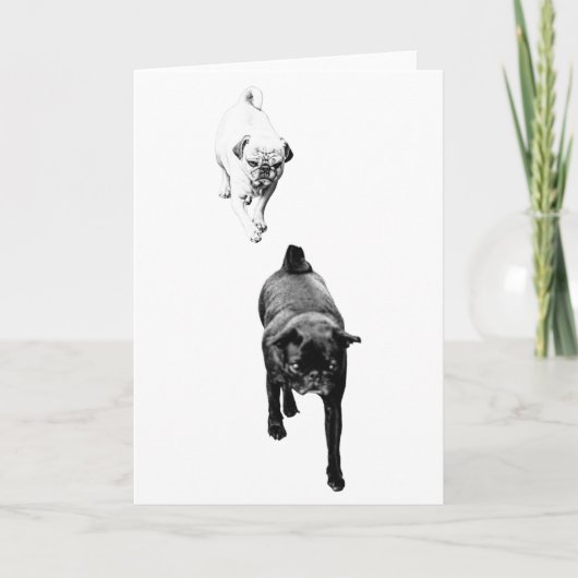 Wärmewünsche, sanftes Hunde-Duo Karte (Vorderseite)