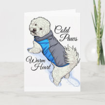 Warmherziger Schnee Bichon