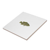 Warmouth Baß Fliese (Seite)