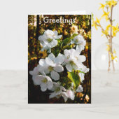 Wärmste Grüße Karte (Gelbe Blume)