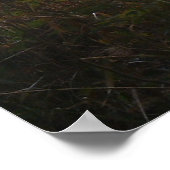 Warndoster Poster (Ecke)