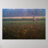 Warndoster Poster (Vorne)