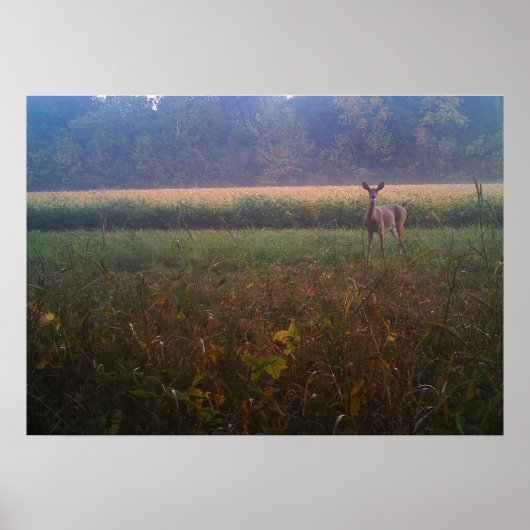 Warndoster Poster (Vorne)