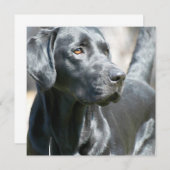 Warnhinweis Schwarzes Labrador Rertriever Dog Einl Einladung (Vorne/Hinten)