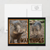 WARNHINWEISE - WILDE TIERE POSTKARTE (Vorne/Hinten)