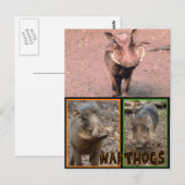 WARNHINWEISE - WILDE TIERE POSTKARTE (Vorne/Hinten)