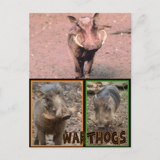 WARNHINWEISE - WILDE TIERE POSTKARTE (Vorderseite)