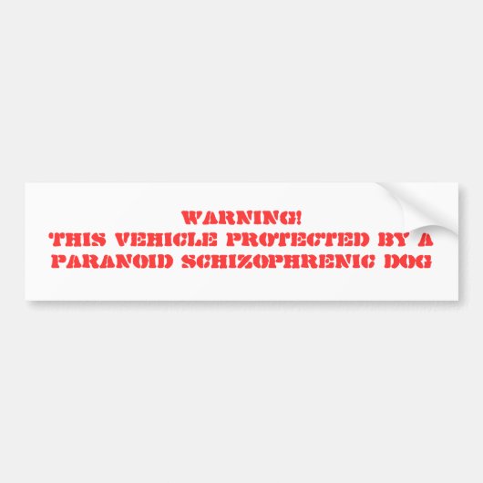 WARNING! DIESES FAHRZEUG GESCHÜTZT DURCH EIN AUTOAUFKLEBER (Vorne)