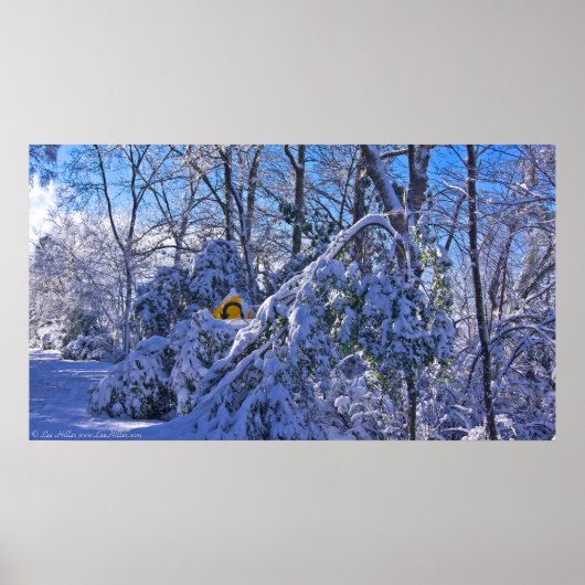 "Warning Sharp Bend" im Snow-Poster Poster (Vorne)