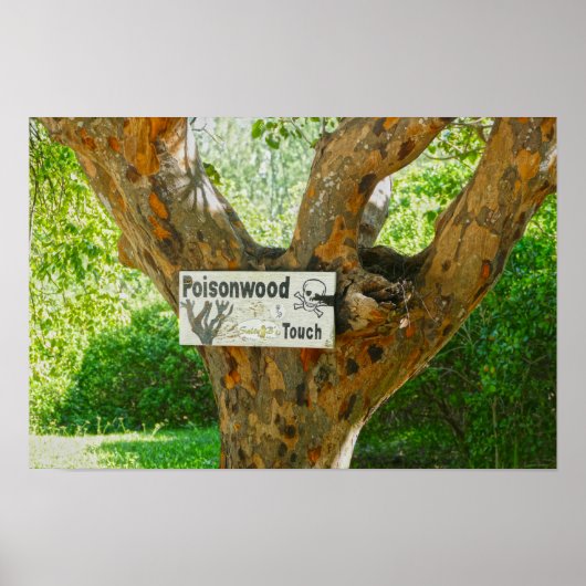 Warnschild Giftiger Holzbaum Poster (Vorne)