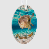 Warnung der Fische: Funny Puffer Fish: Kann unter Ornament (Vorderseite)