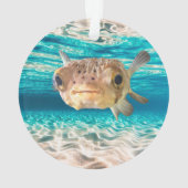 Warnung der Fische: Funny Puffer Fish: Kann unter Ornament (Rückseite)